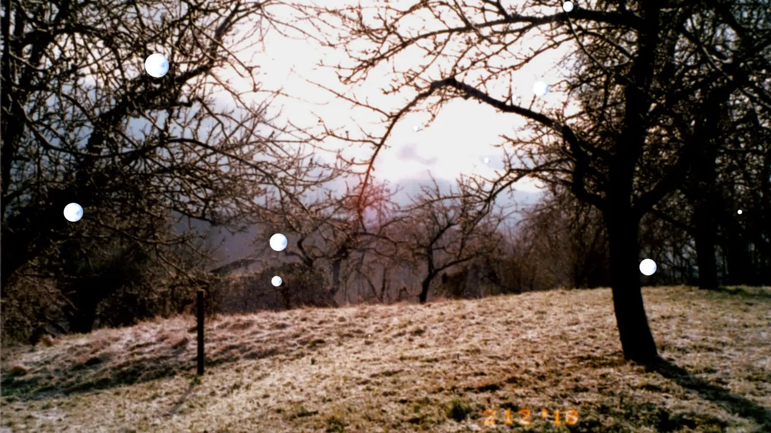 final snowflakes